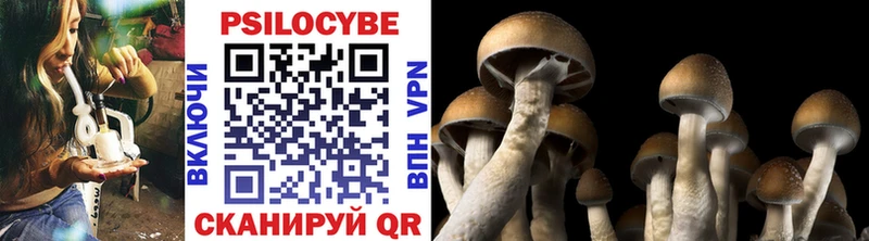 Псилоцибиновые грибы Psilocybe  Дубовка 